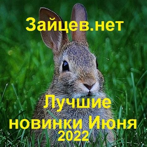 ЗАЙЦЕВ НЕТ НОВИНКИ 2022
 2023.02.03 20:06 Ukraine and world news
